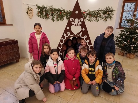 Link na družinový web