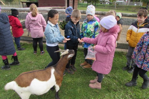 Za zvířátky na Karlov