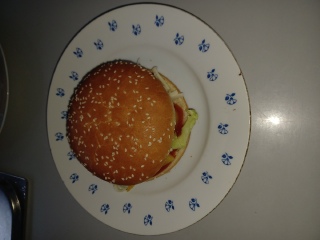 Domácí hambáč na přání 8 třídy