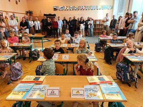 Obrázek v galerii