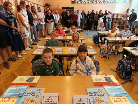 Obrázek v galerii