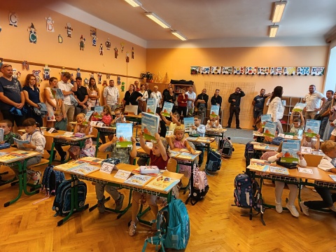 Obrázek v galerii