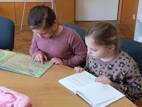 Obrázek v galerii