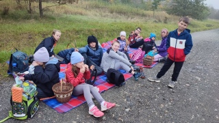 Houby jsme prozkoumali ze všech stran