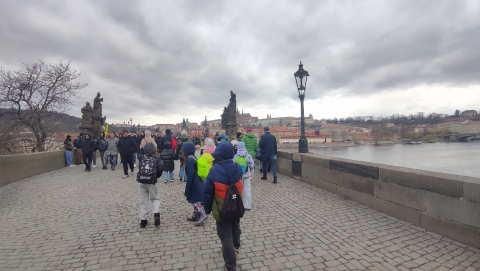 Obrázek v galerii