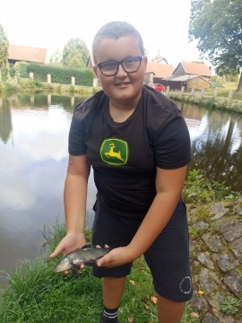 Obrázek v galerii