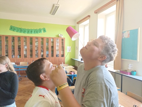 Obrázek v galerii