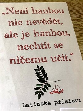 Obrázek v galerii