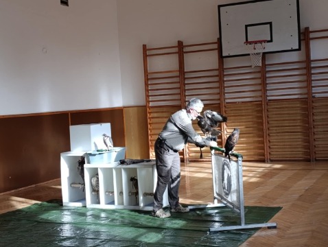 Obrázek v galerii