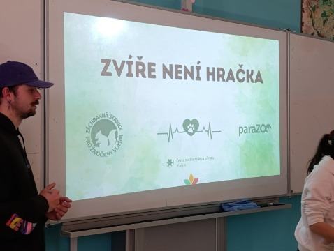 Obrázek v galerii