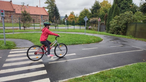 Obrázek v galerii