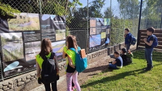 venkovní výstava o vážkách