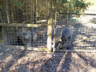 Výprava na Pančavu